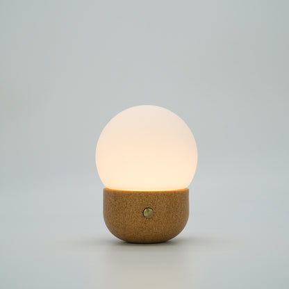 MOON,biowaste small table lamp,portable,CCT& dimmeable,special designed for personal &business-IP44