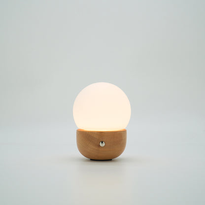 MOON,biowaste small table lamp,portable,CCT& dimmeable,special designed for personal &business-IP44