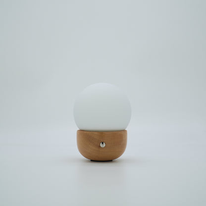 MOON,biowaste small table lamp,portable,CCT& dimmeable,special designed for personal &business-IP44
