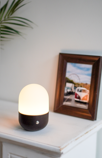 COBBLE,biowaste small table lamp,portable,CCT& dimmeable,special designed for personal &business-IP44
