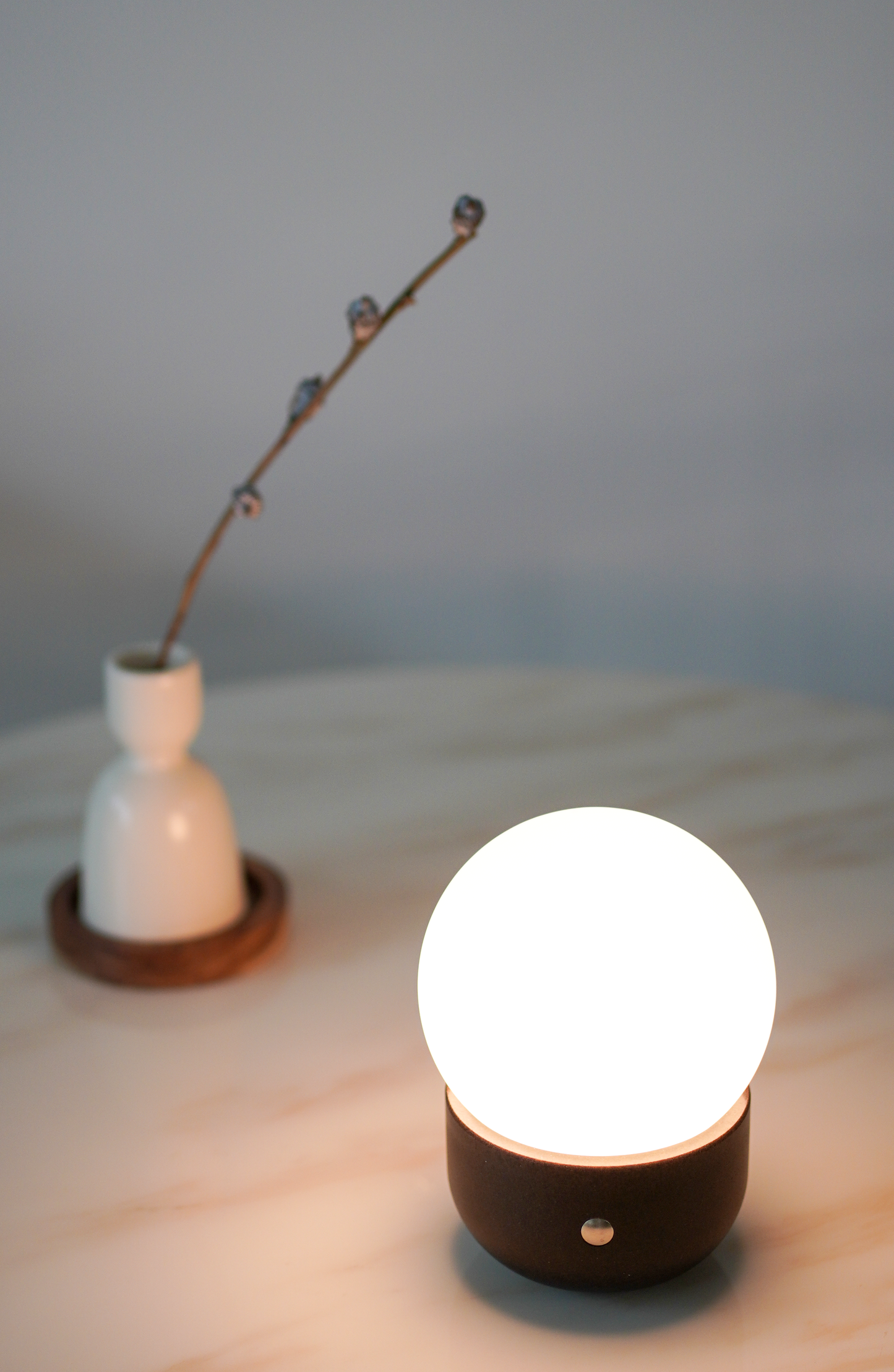 MOON,biowaste small table lamp,portable,CCT& dimmeable,special designed for personal &business-IP44