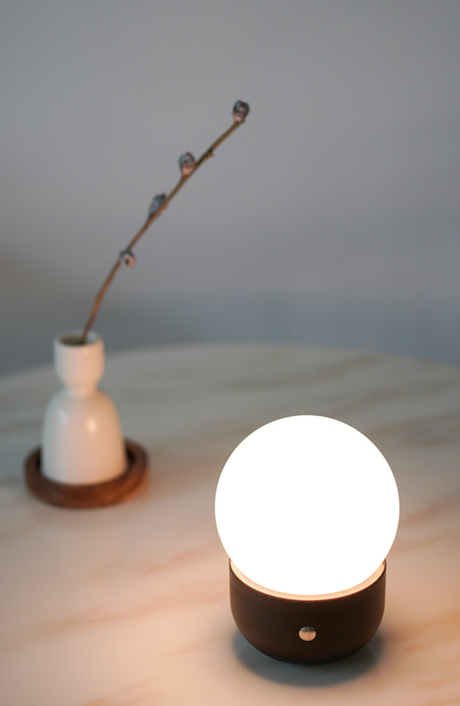 MOON,biowaste small table lamp,portable,CCT& dimmeable,special designed for personal &business-IP44