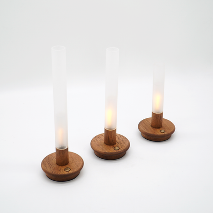 EVERGLOW,Stimulated flame tube lights,dimmer & long lasting,USB charging-IP44