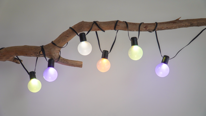 LUCEO-20L G50 LED bulb color changing string lights, IP44