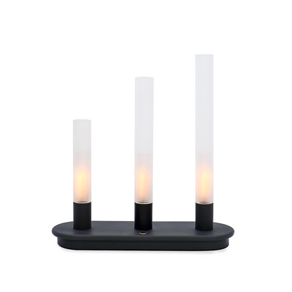 EVERGLOW,set of 3,stimulated flame tube lights,dimmer & long lasting,USB charging-IP44