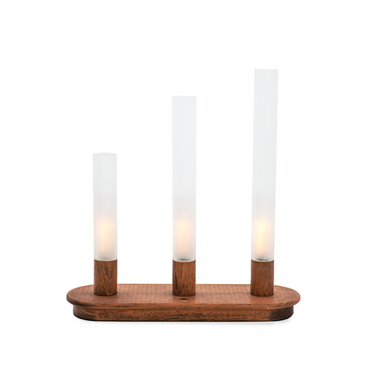 EVERGLOW,set of 3,stimulated flame tube lights,dimmer & long lasting,USB charging-IP44
