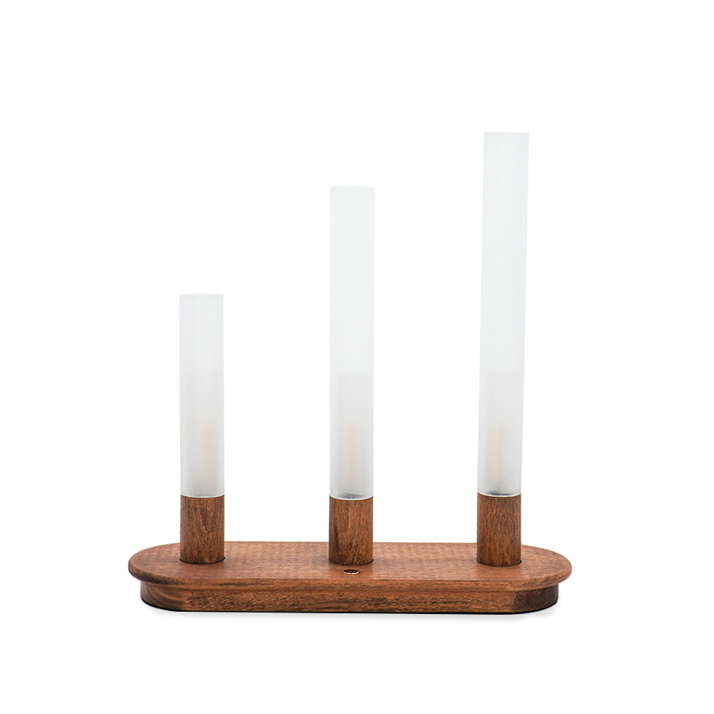 EVERGLOW,set of 3,stimulated flame tube lights,dimmer & long lasting,USB charging-IP44
