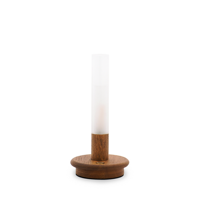 EVERGLOW,Stimulated flame tube lights,dimmer & long lasting,USB charging-IP44