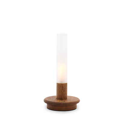 EVERGLOW,Stimulated flame tube lights,dimmer & long lasting,USB charging-IP44
