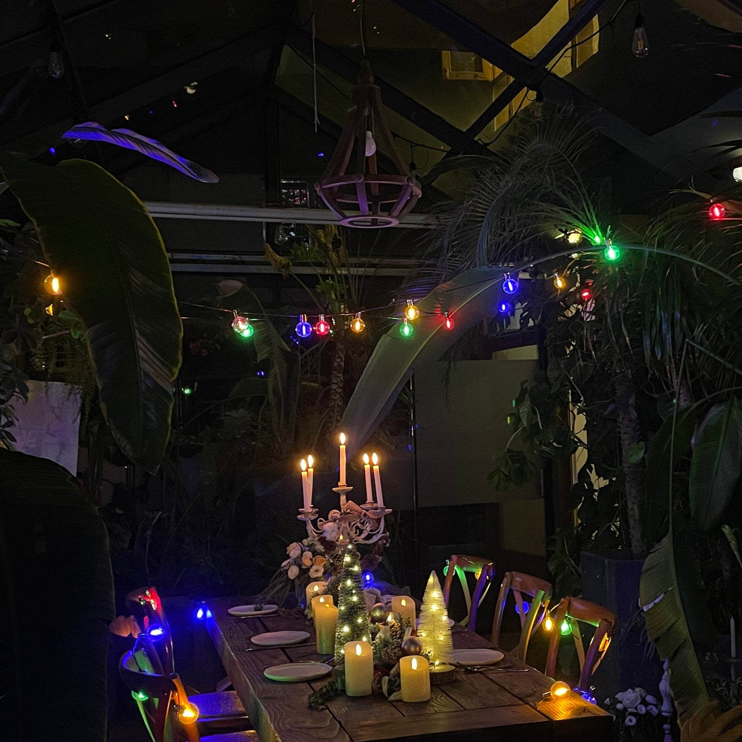 LUX-20L single filament warm white+RGB string lights, IP20-Adaptor