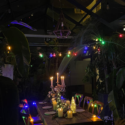 LUX-20L single filament warm white+RGB string lights, IP20-Adaptor