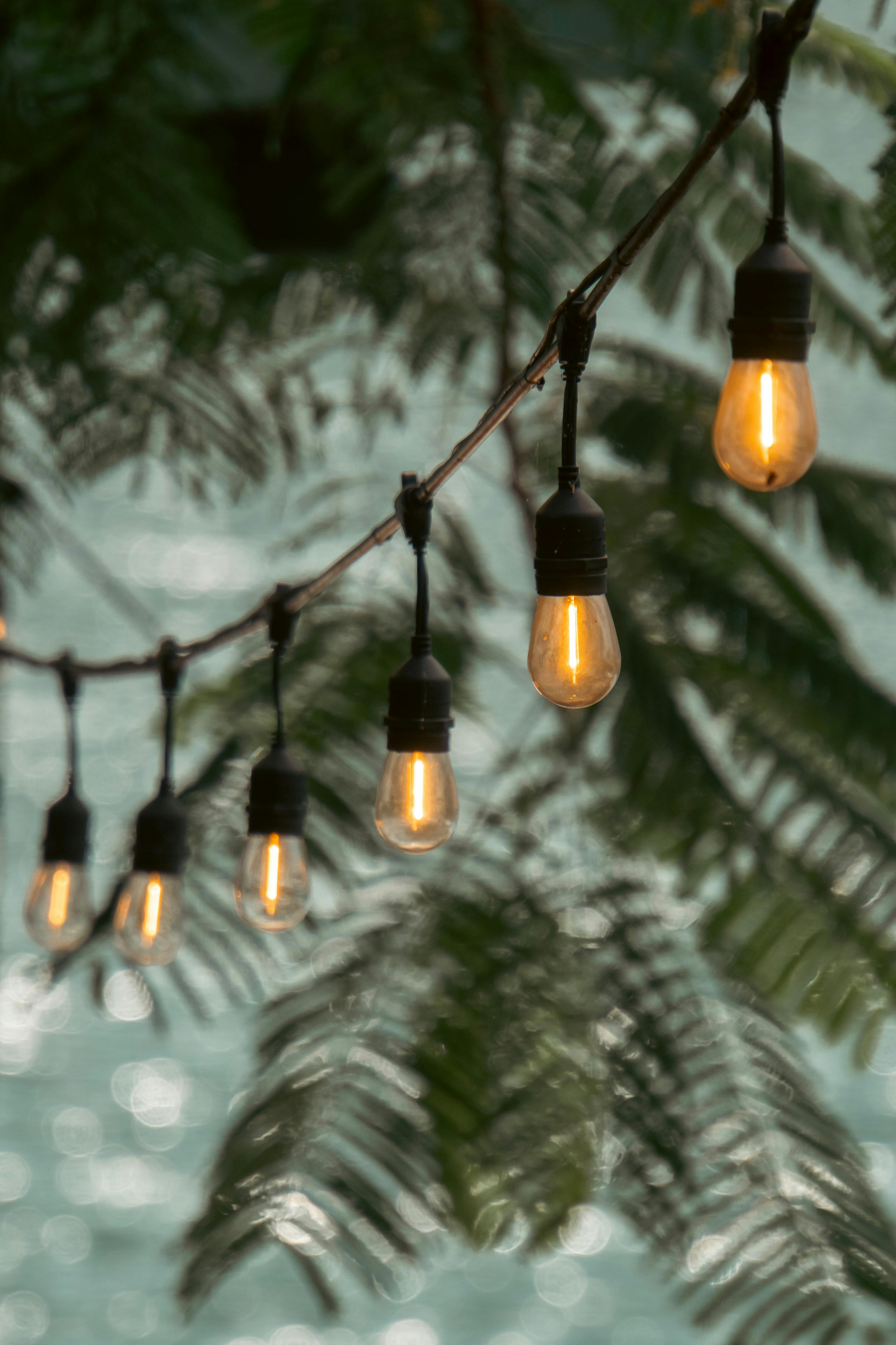String Light